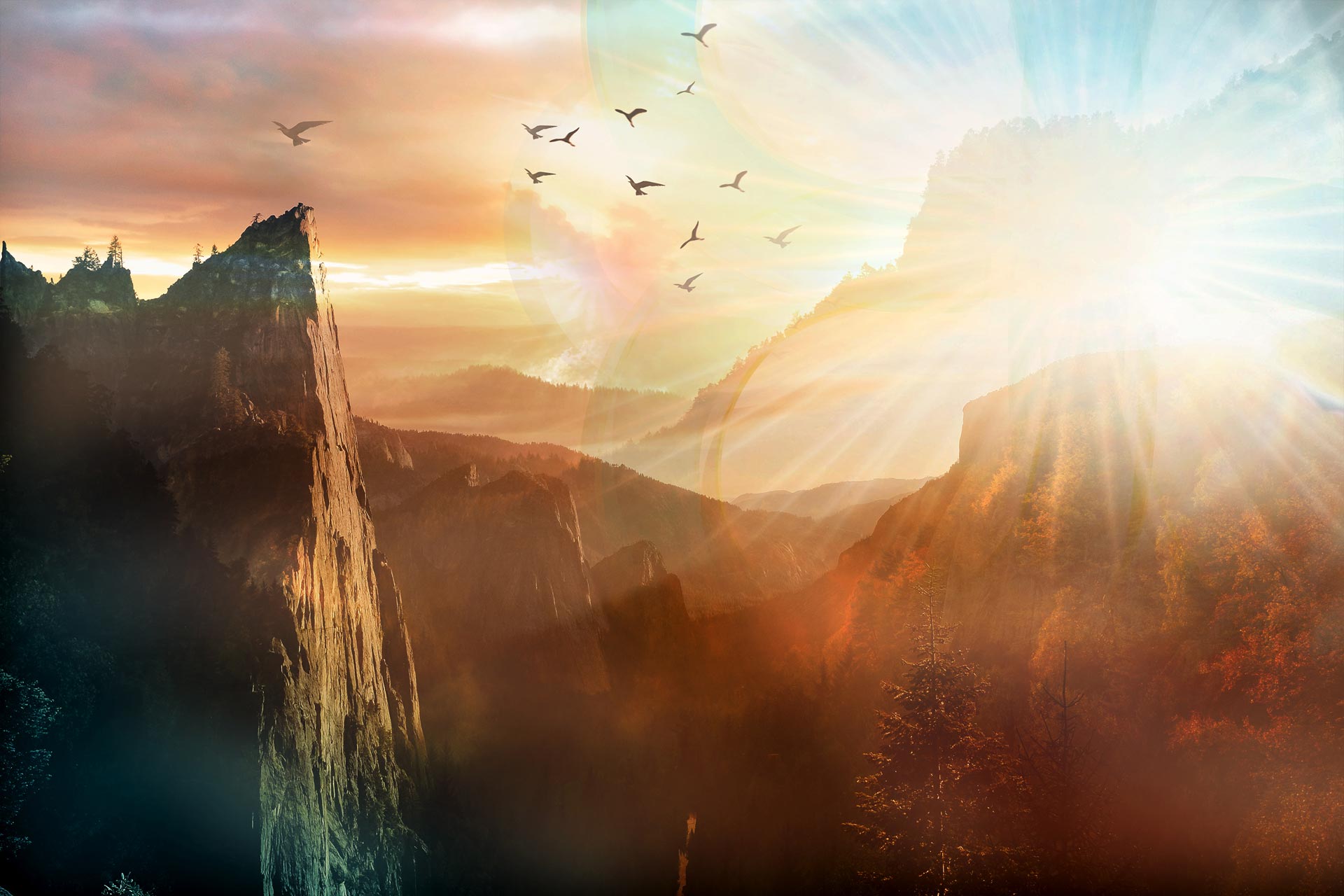 iw bg herog 01 m